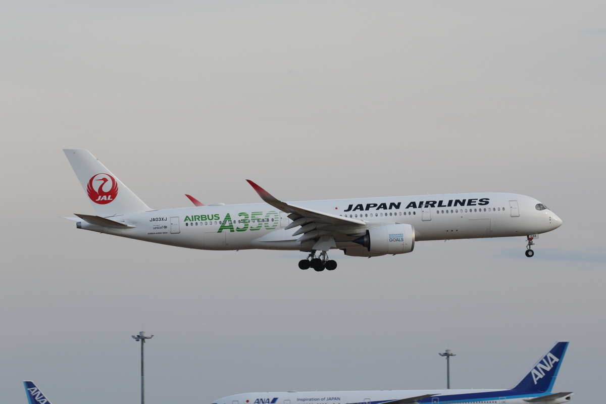 f:id:kawaturu:20200122203759j:plain f:id:kawaturu:20200122203759j:plain