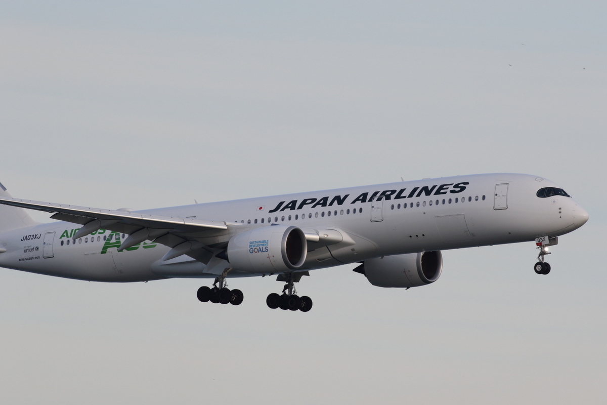 f:id:kawaturu:20200122203813j:plain f:id:kawaturu:20200122203813j:plain