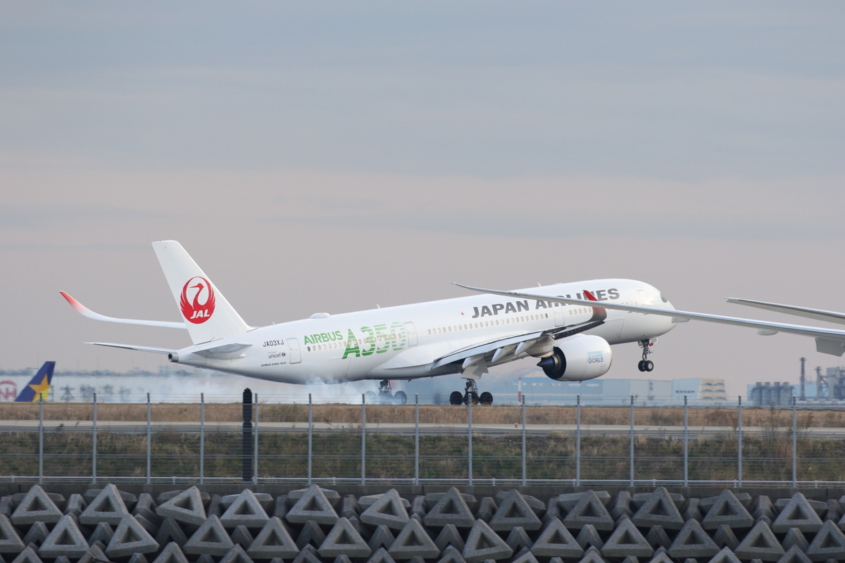 f:id:kawaturu:20200122204810j:plain f:id:kawaturu:20200122204810j:plain