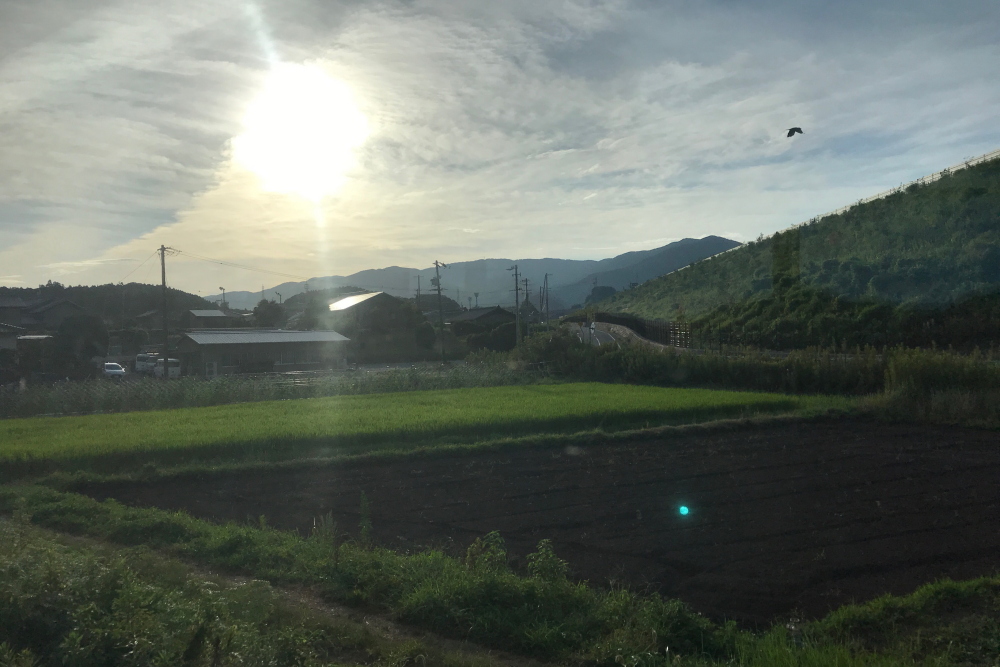 f:id:kawaturu:20200416211441j:plain