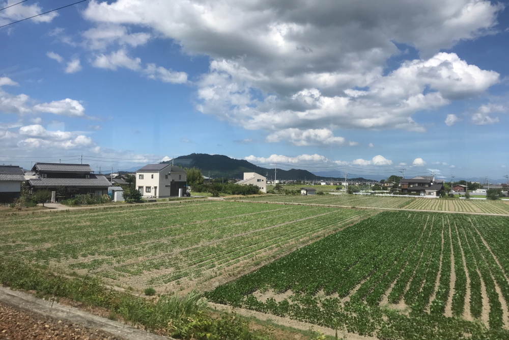 f:id:kawaturu:20200422000830j:plain