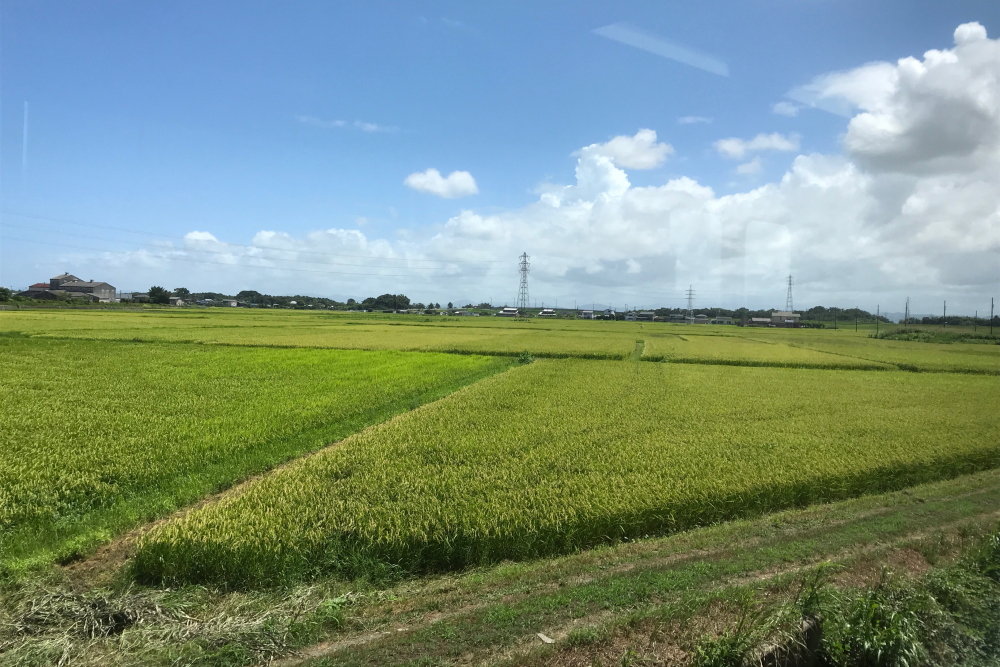 f:id:kawaturu:20200427232054j:plain