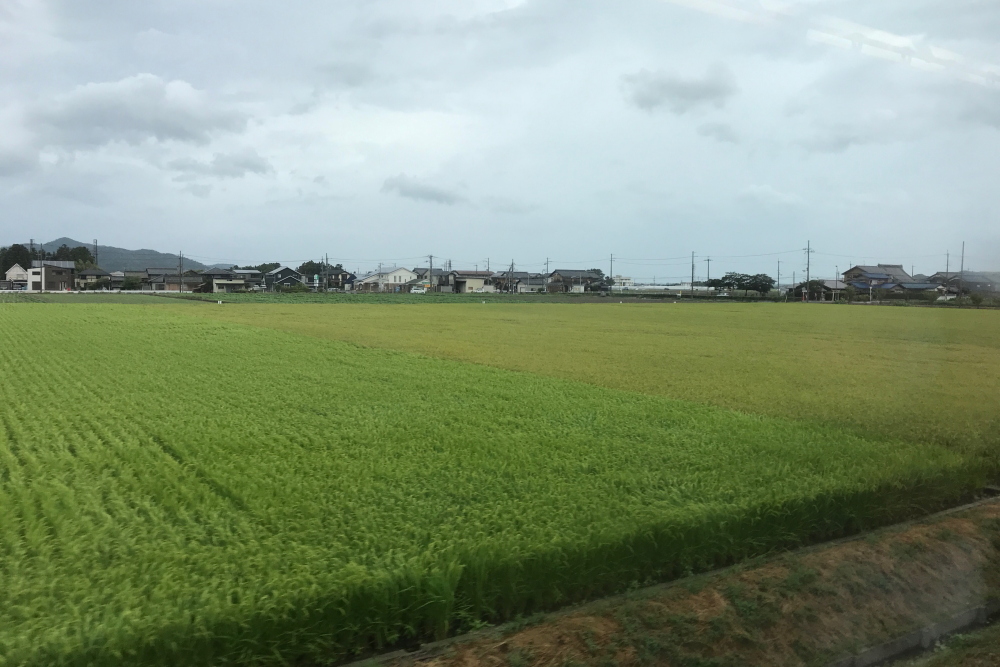 f:id:kawaturu:20200617212609j:plain