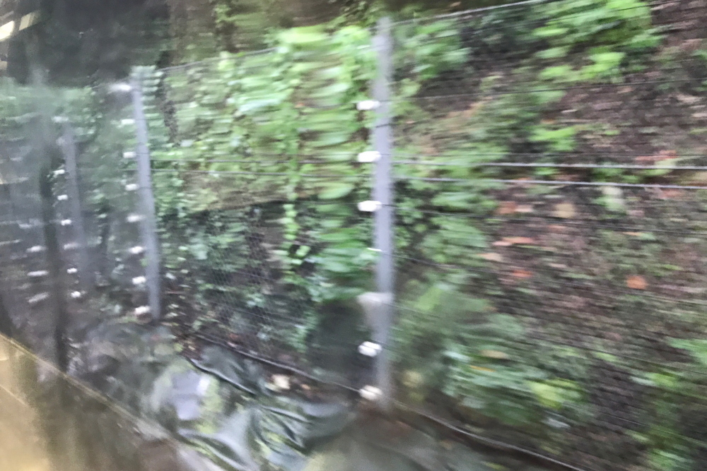 f:id:kawaturu:20200714210329j:plain