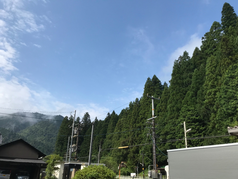 f:id:kawaturu:20200714210516j:plain