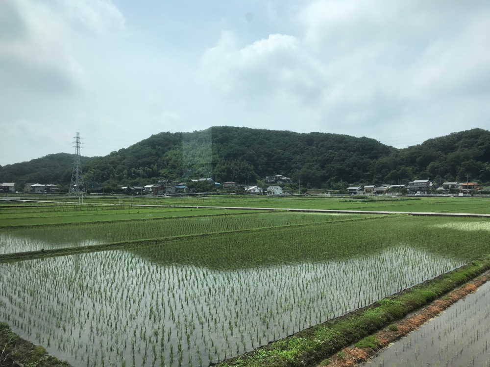 f:id:kawaturu:20210704210133j:plain