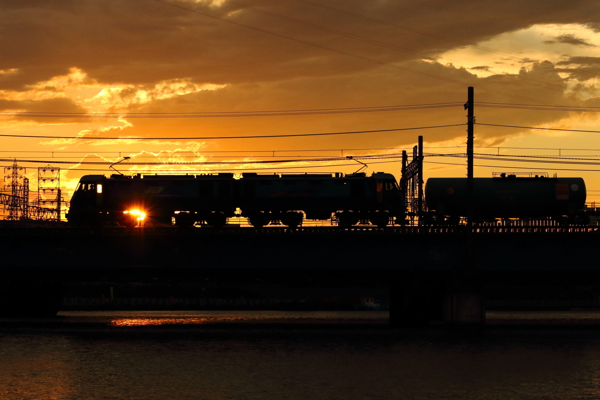 鶴與夕陽 鶴見川で夕練 貨物列車撮影 7/20 - 川崎鶴見鉄道録