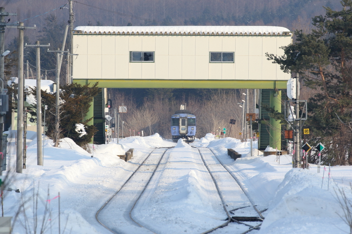 遠軽駅で奇跡のキハ183系「大雪」の交換を撮る 2023オホーツク