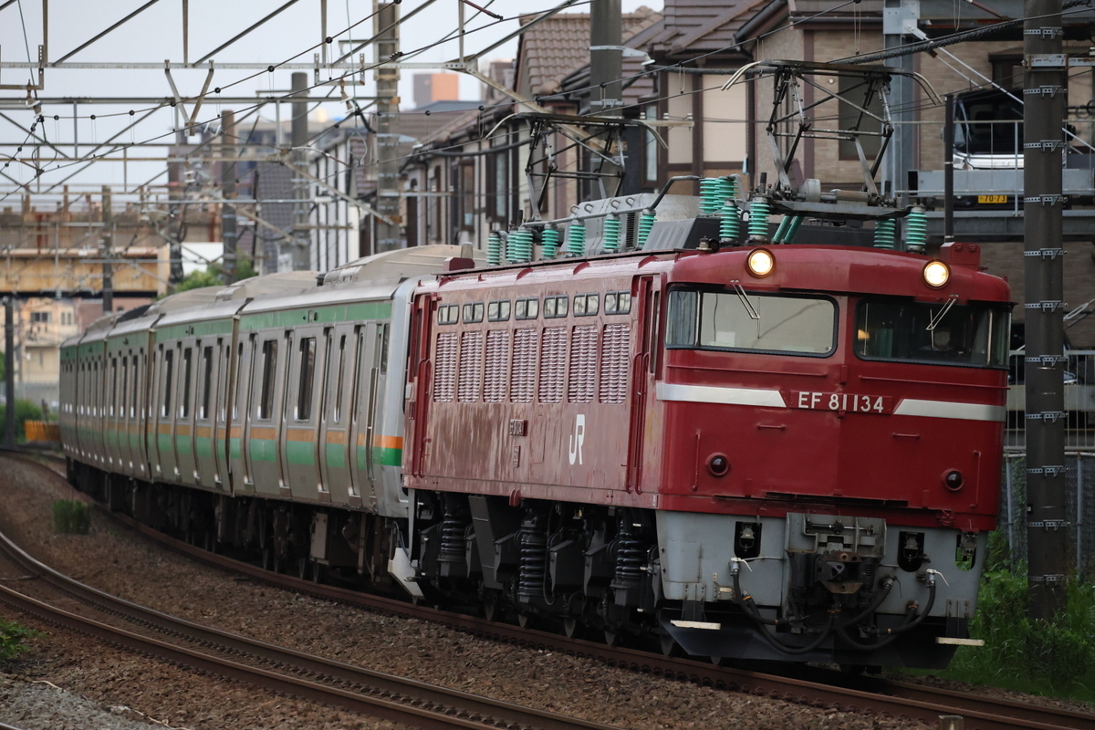 国府津E231系青森配給など 貨物列車撮影 6/7 - 川崎鶴見鉄道録