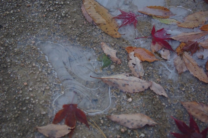 f:id:kawauchi-jhs:20121119073812j:image:w360
