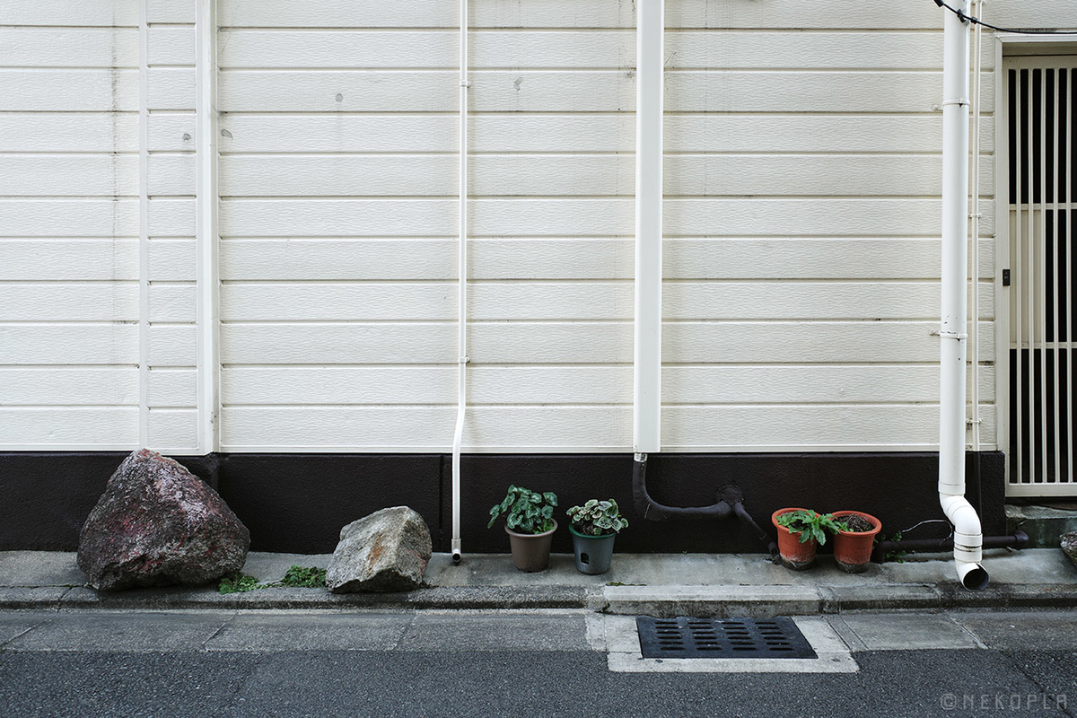 f:id:kawauso3110:20210314233200j:plain