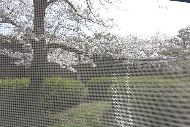 f:id:kawauso3110:20211231094701j:plain