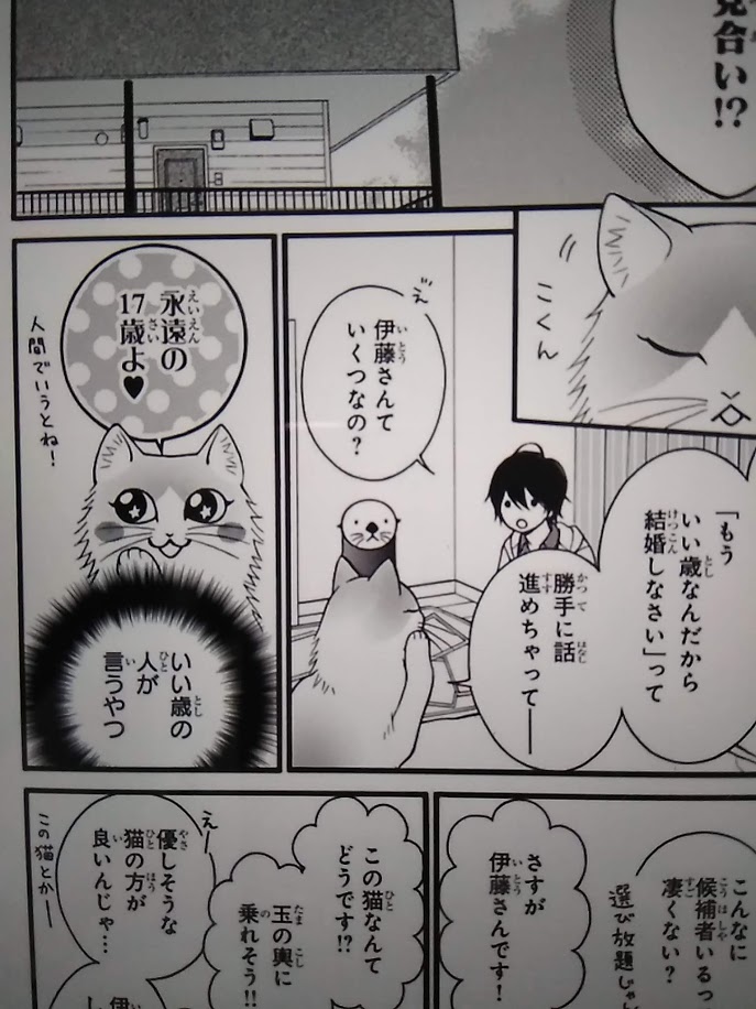 f:id:kawauso5963:20190920090408j:plain