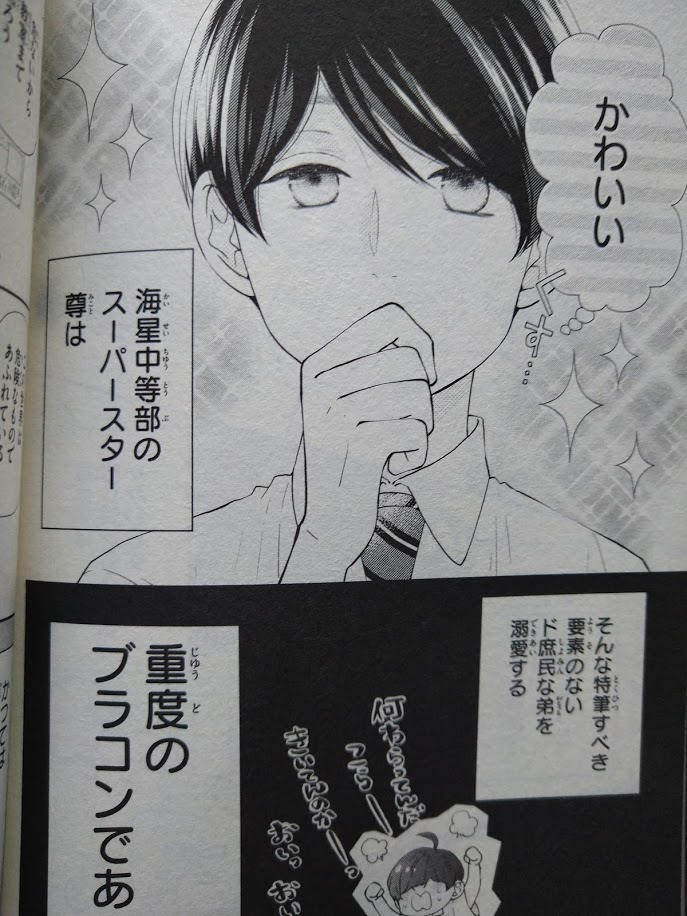 柚木さんちの四兄弟 １巻から４巻までの感想 佳和のマンガ感想倶楽部