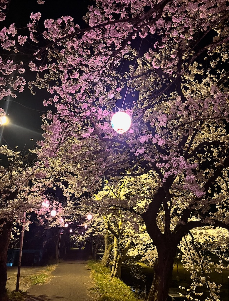 f:id:kawauso_otter:20260409202604j:image f:id:kawauso_otter:20260409202604j:image