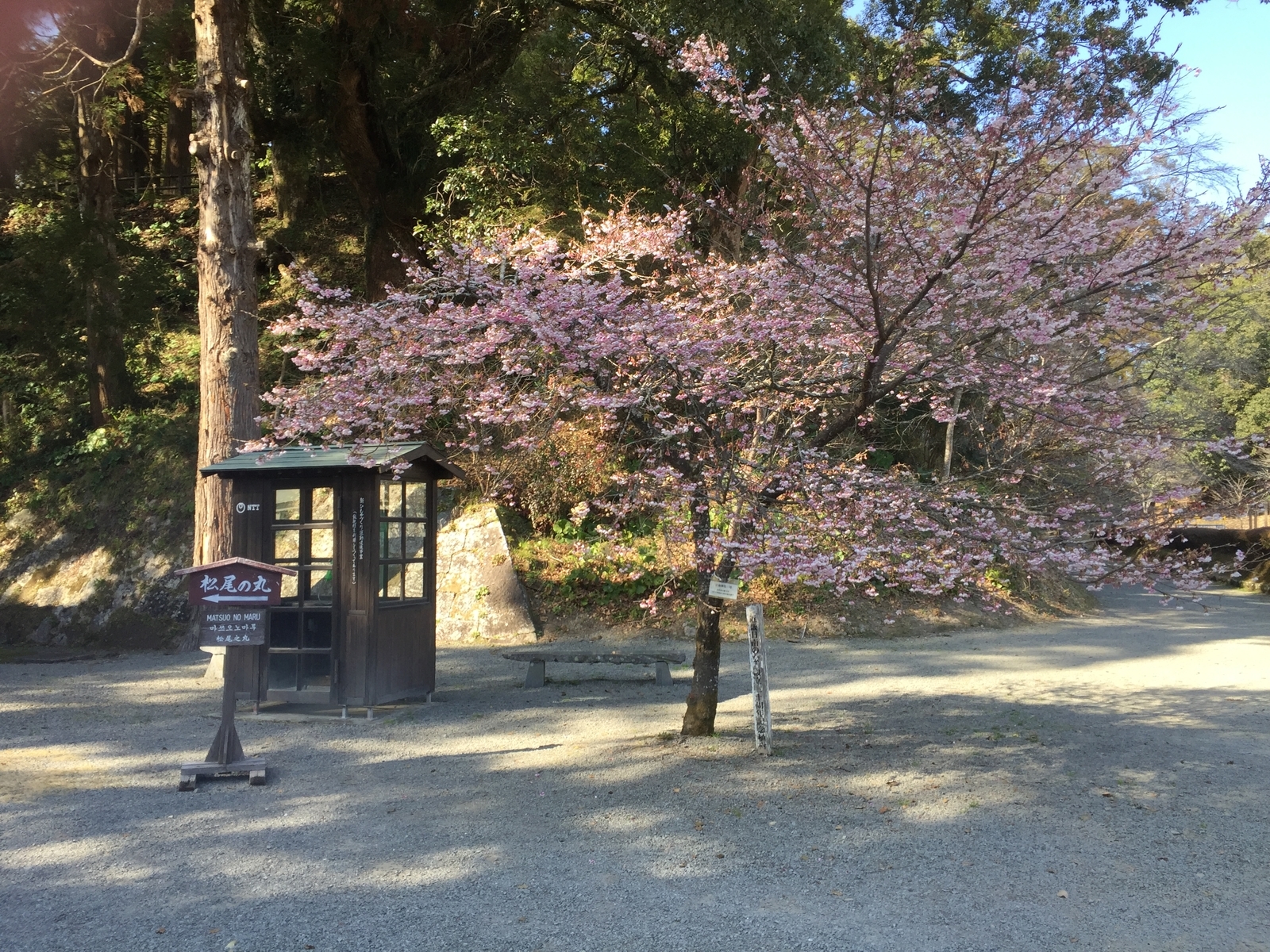 f:id:kawausoreborn:20190219194946j:plain f:id:kawausoreborn:20190219194946j:plain