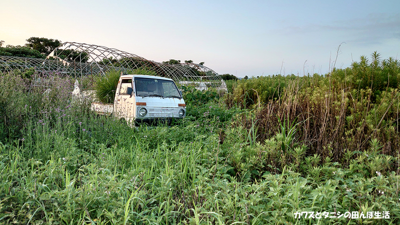 f:id:kawazutanishi:20201024000340j:plain