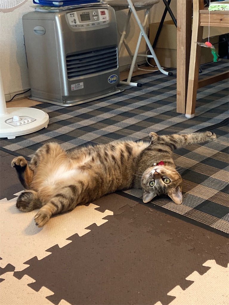 f:id:kawkawkaw:20221031094053j:image f:id:kawkawkaw:20221031094053j:image