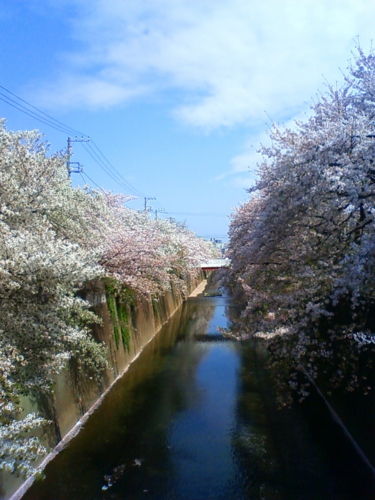 f:id:kawoling:20100721014735j:image f:id:kawoling:20100721014735j:image