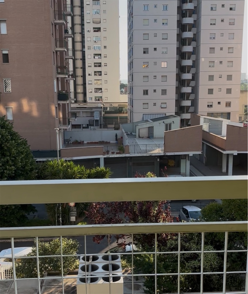 f:id:kaworu_bundo:20250525115456j:image