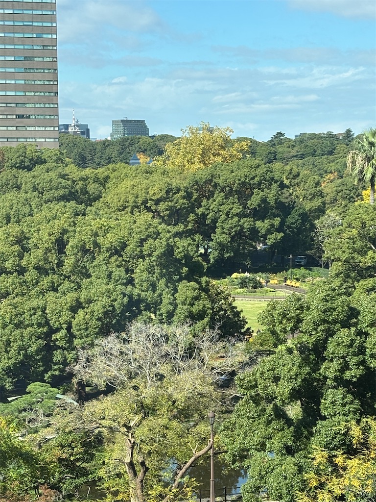 f:id:kaworu_bundo:20251110145139j:image