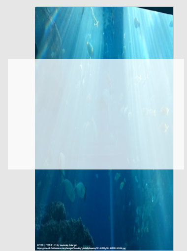 f:id:kayaak:20210527125124p:plain