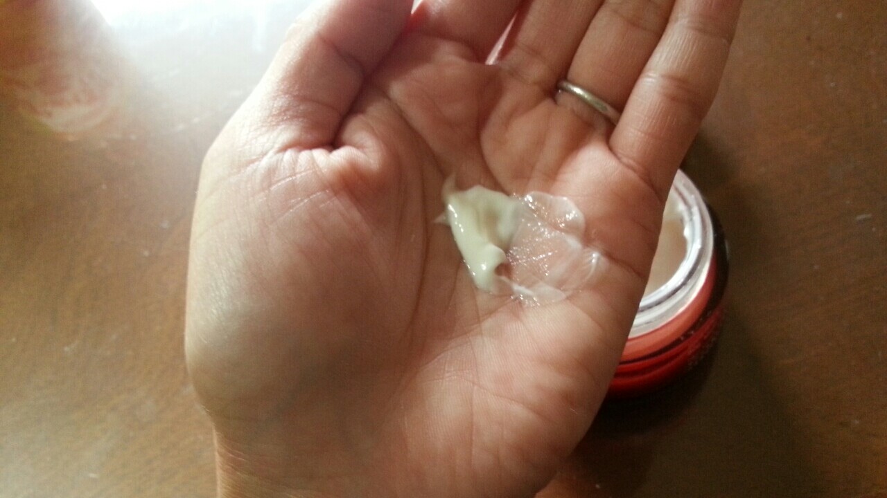 f:id:kayanon24:20170119152557j:plain