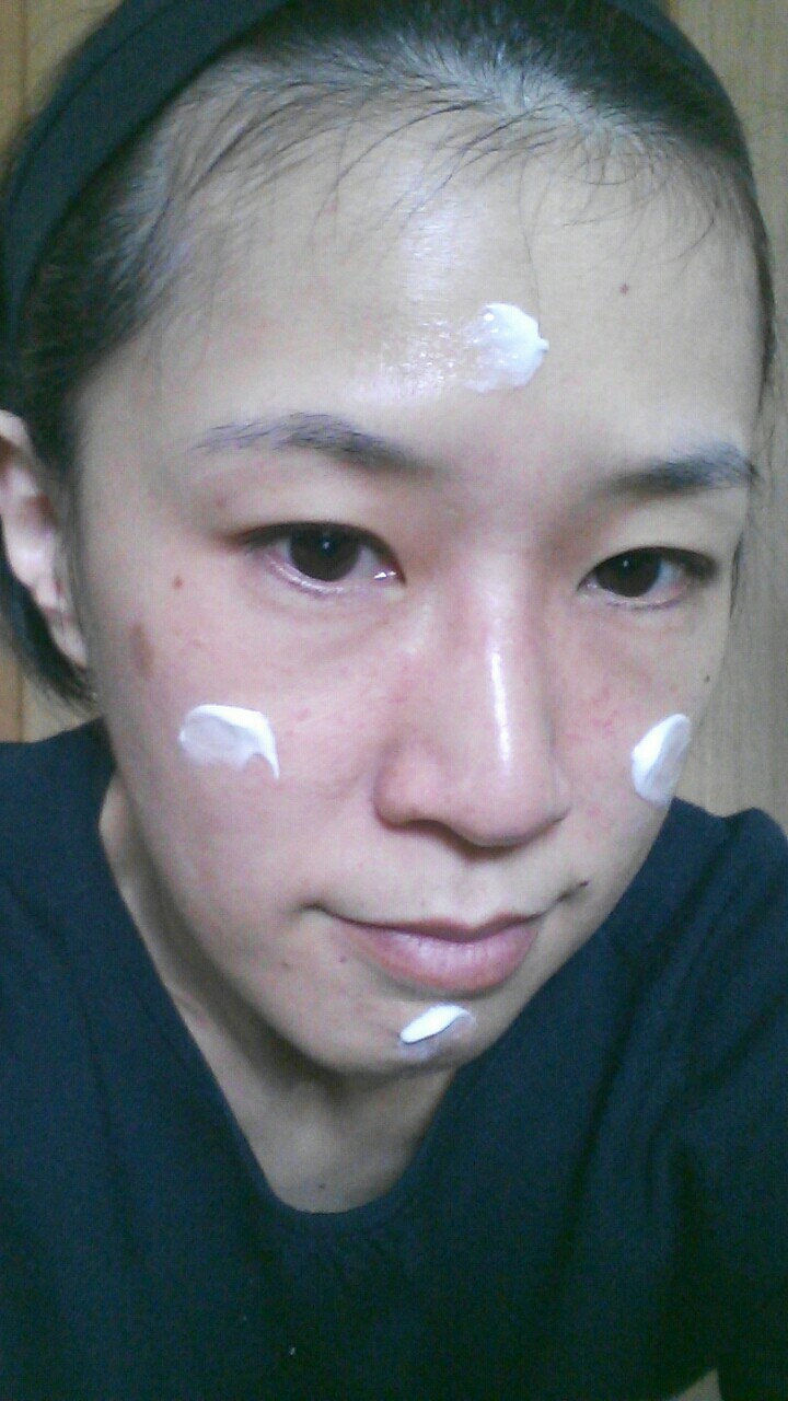 f:id:kayanon24:20170119152635j:plain