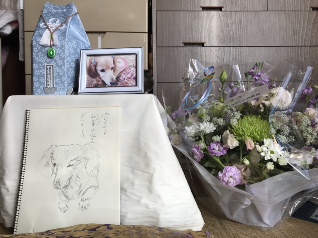 f:id:kayo0130:20180226005211j:plain f:id:kayo0130:20180226005211j:plain