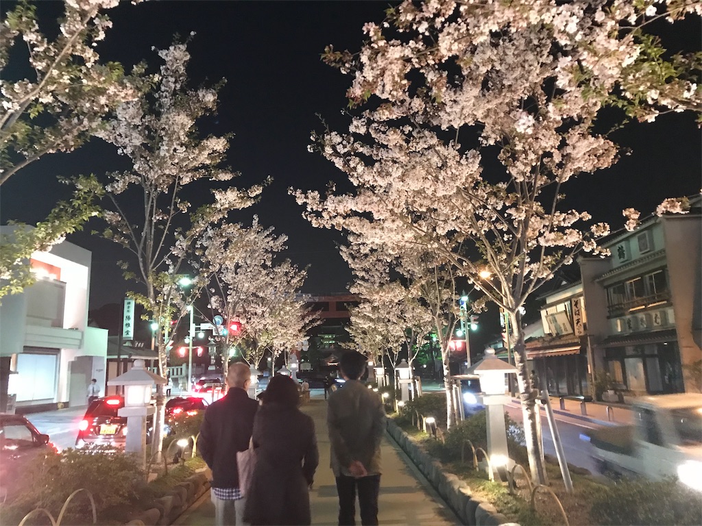 f:id:kayo1228:20180403031130j:image