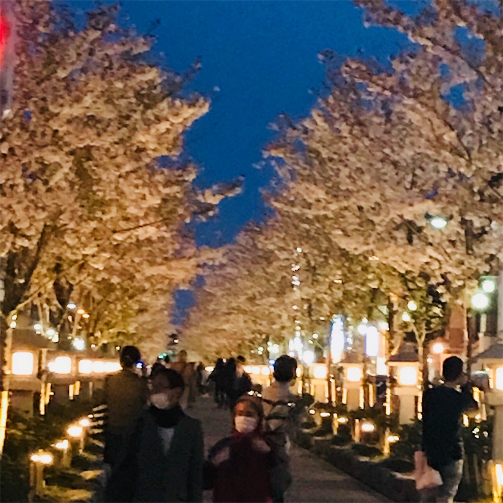 f:id:kayo1228:20180403031228j:image