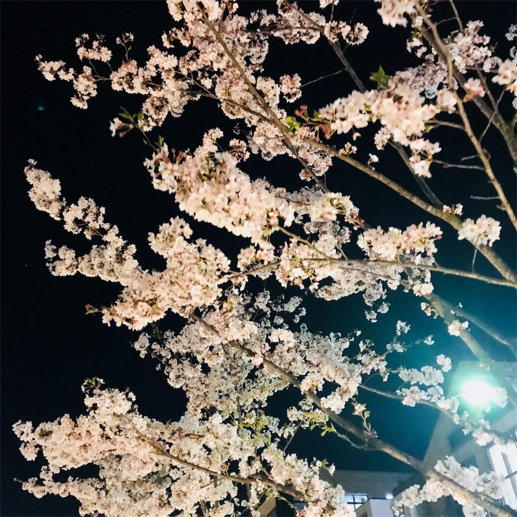 f:id:kayo1228:20180403034633j:image