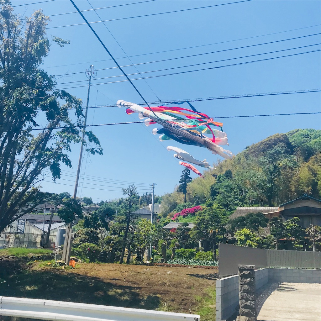 f:id:kayo1228:20180429003909j:image