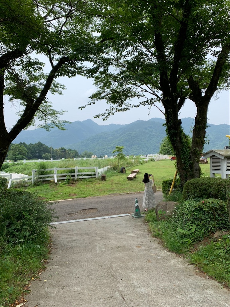 f:id:kayo1228:20200608005125j:image f:id:kayo1228:20200608005125j:image