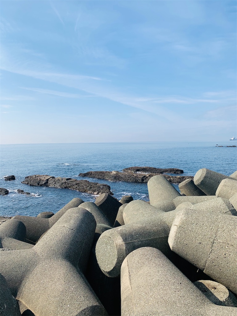 f:id:kayo1228:20210214005148j:image