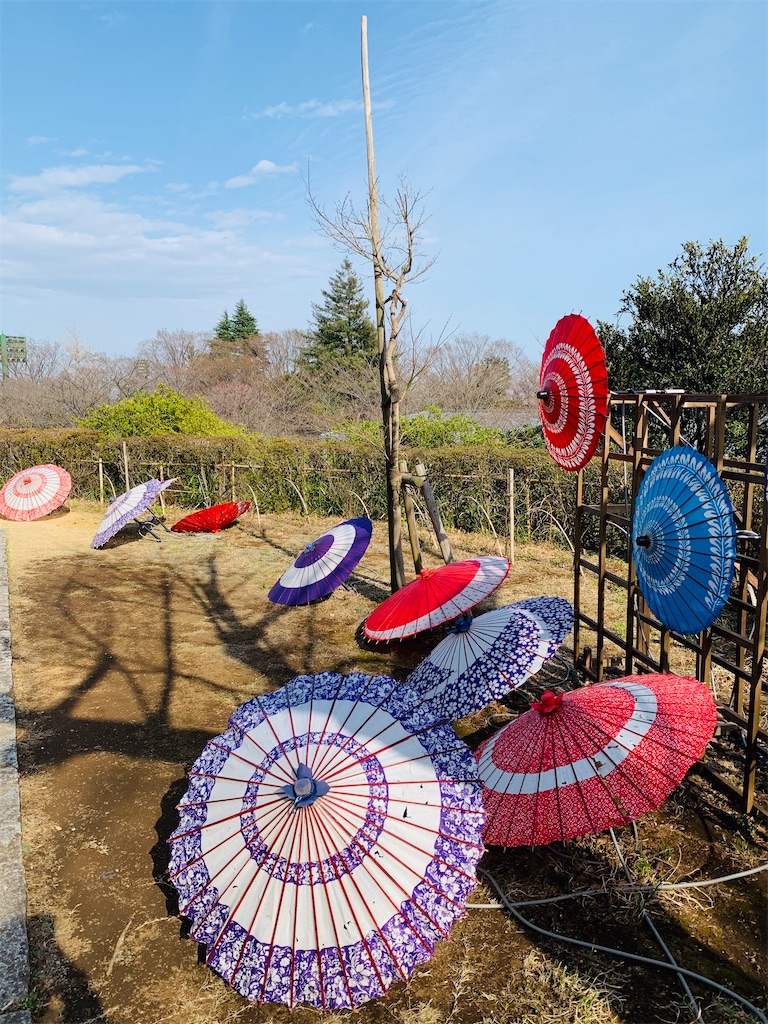 f:id:kayo1228:20210317000722j:image