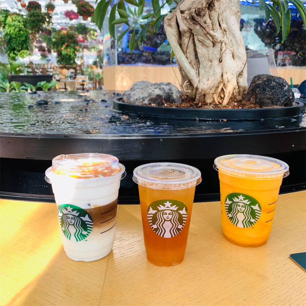 f:id:kayo1228:20210317000727j:image