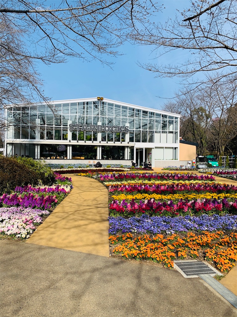 f:id:kayo1228:20210317000733j:image