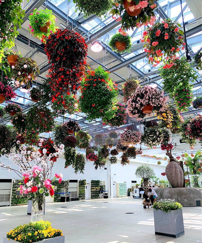 f:id:kayo1228:20210317000748j:image