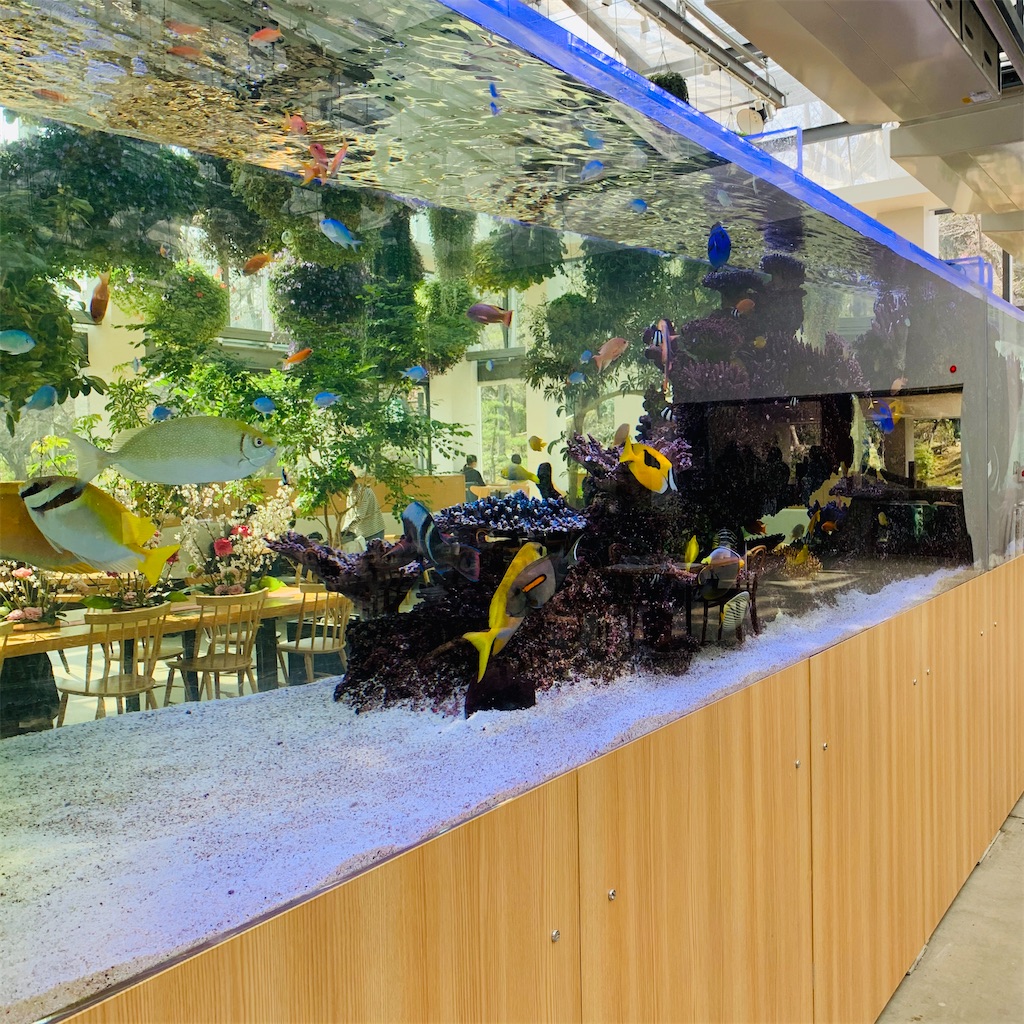 f:id:kayo1228:20210317000755j:image