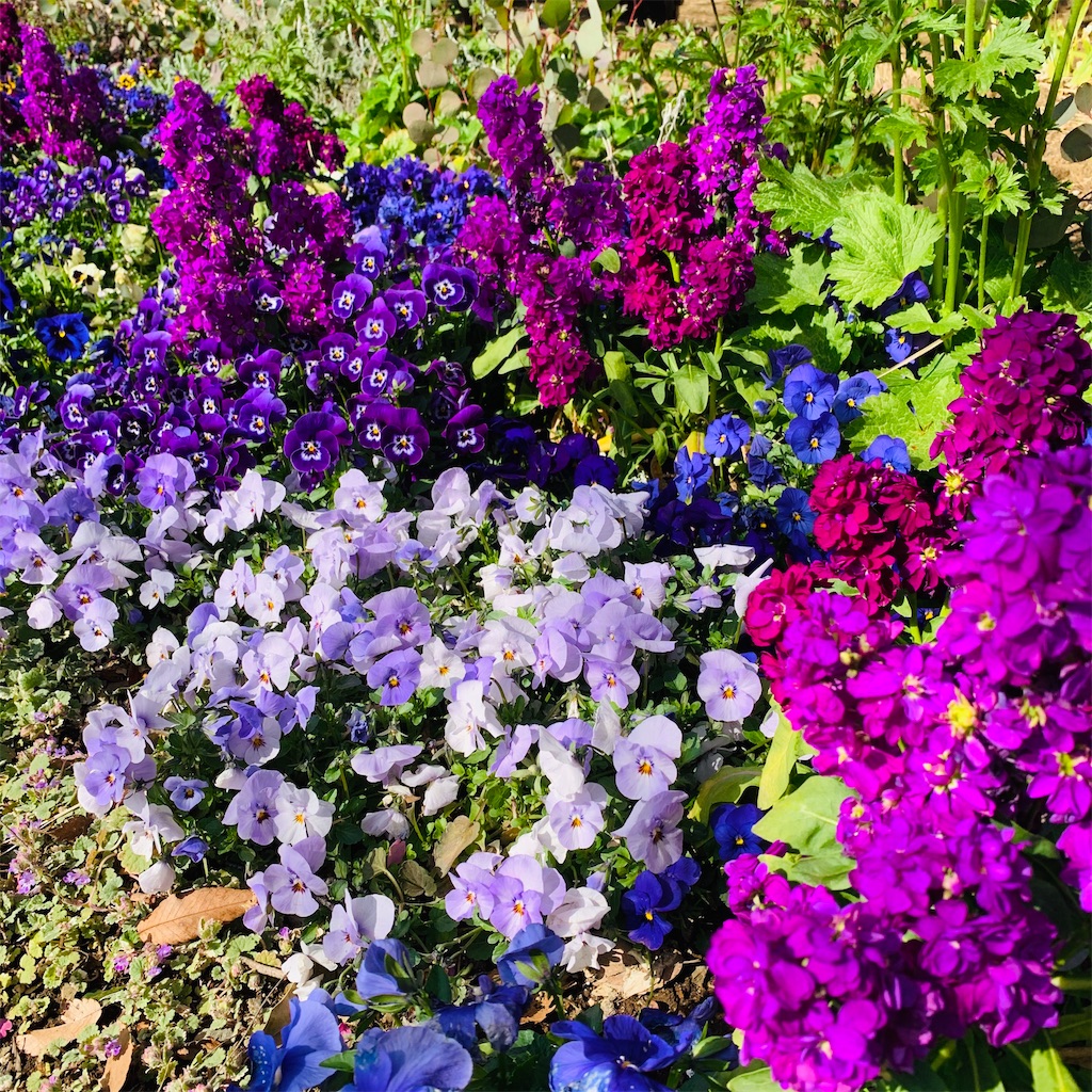 f:id:kayo1228:20210317000907j:image