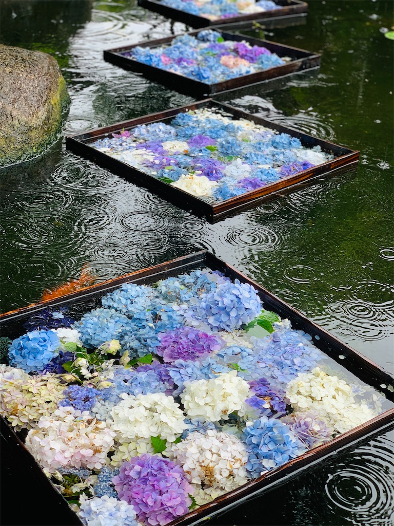 f:id:kayo1228:20210620020801j:image