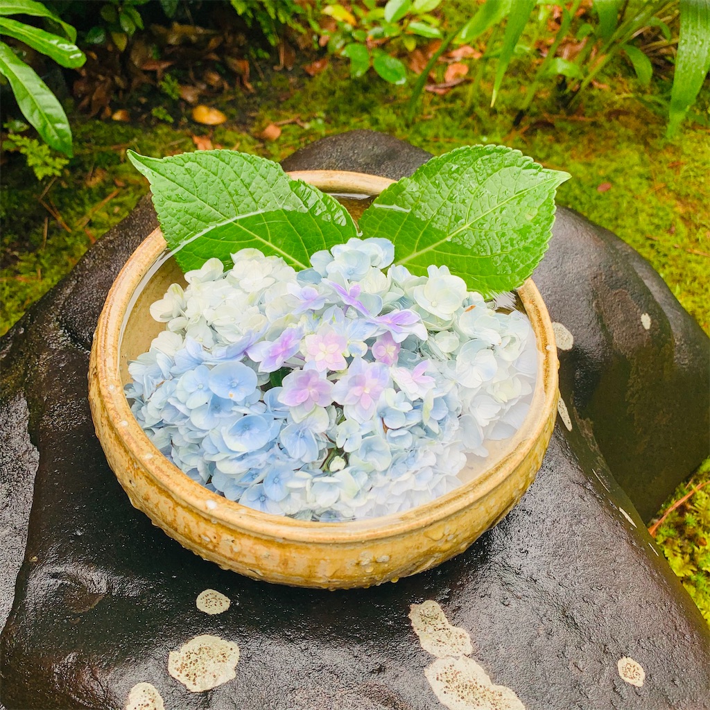 f:id:kayo1228:20210620021215j:image