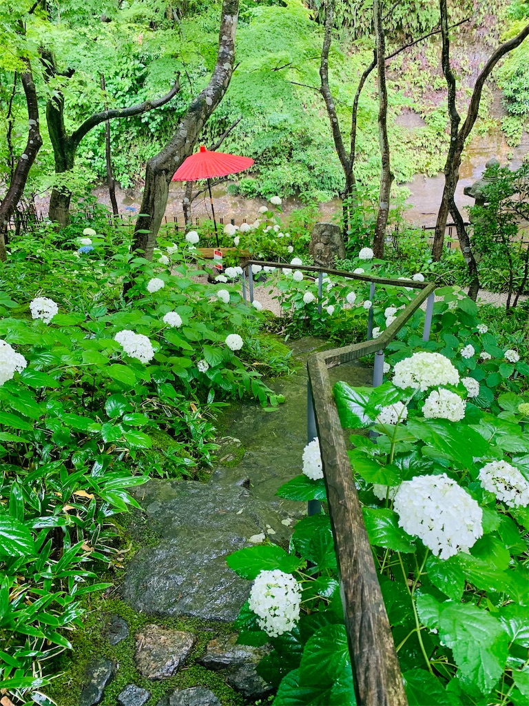 f:id:kayo1228:20210620021622j:image