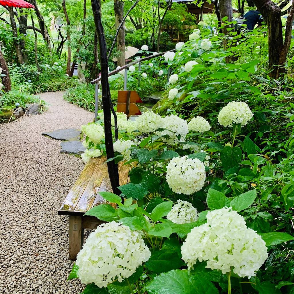 f:id:kayo1228:20210620021931j:image