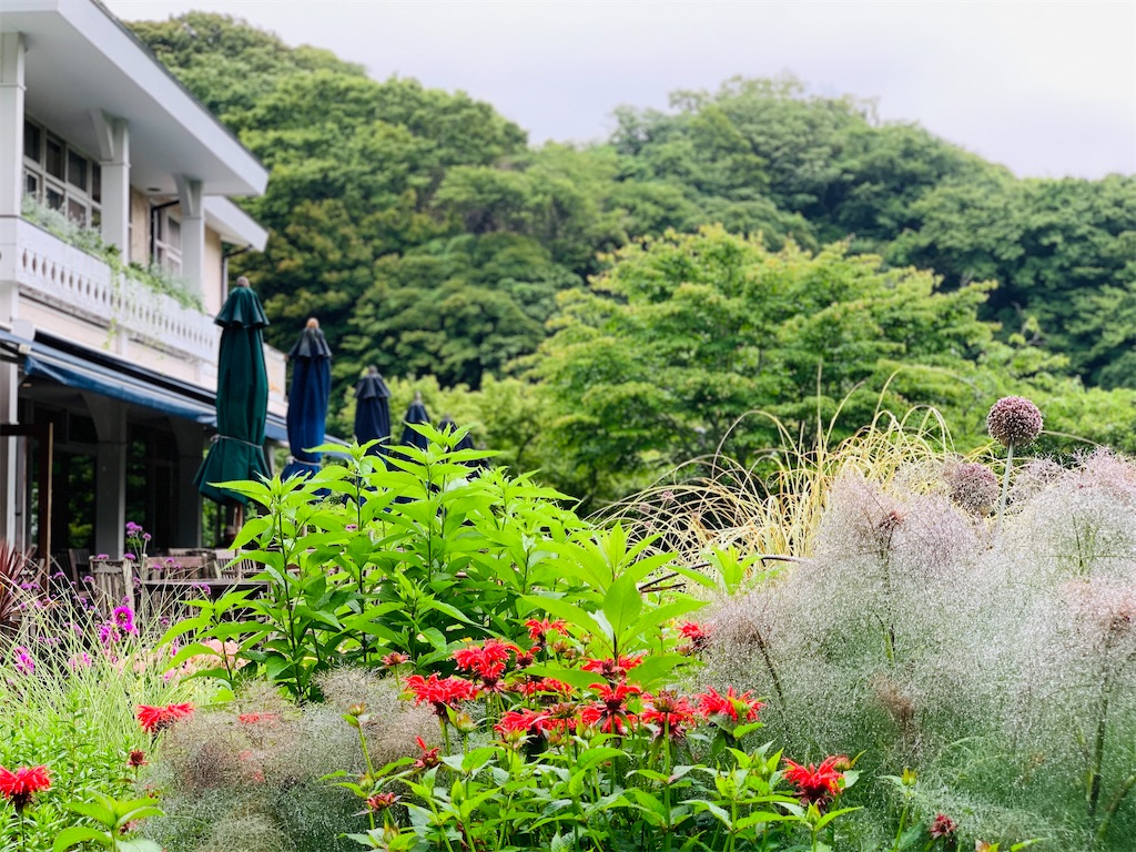 f:id:kayo1228:20210620050419j:image