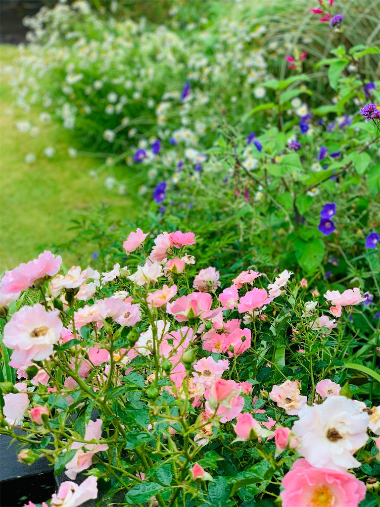 f:id:kayo1228:20210620050442j:image