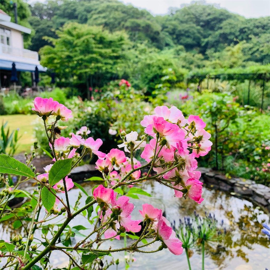 f:id:kayo1228:20210622013741j:image