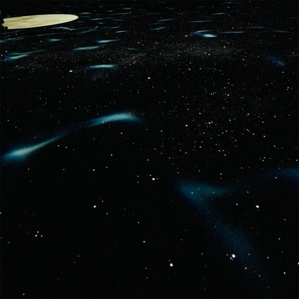 f:id:kayo1228:20210813064841j:image f:id:kayo1228:20210813064841j:image