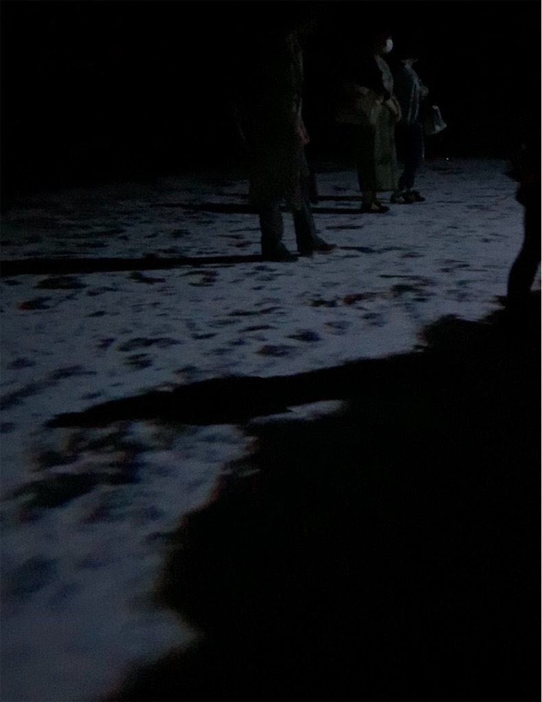 f:id:kayo1228:20210813065211j:image f:id:kayo1228:20210813065211j:image